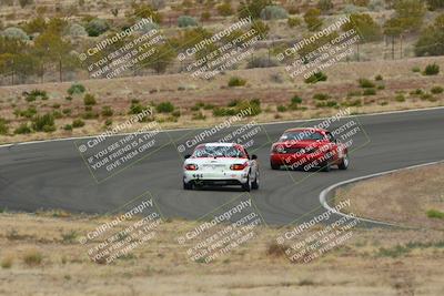 media/May-03-2025-Lucky Dog Racing (Sat) [[206de64b9d]]/Turn 2 (1020am-1120am)/